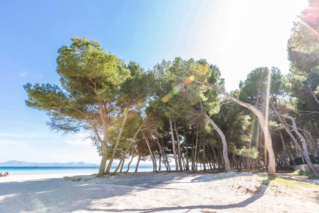 Pinya Villa Port de Alcudia  Bagian luar foto